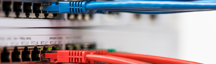 Closeup of  colored computer network cables  connected to a  switch