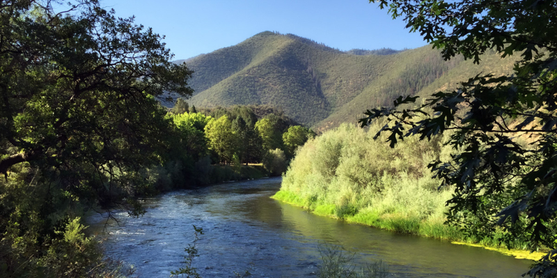 Helping Usher In the Largest River Restoration Project in US History