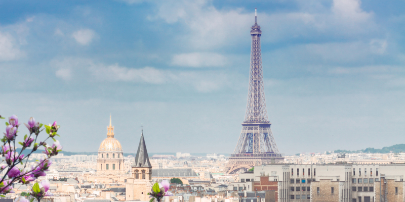 skyline of Paris city roofs with Eiffel Tower from above with magnolia spring flowers,  France